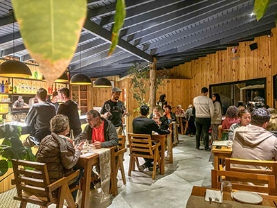 Bosque Las Delfinas -Delirio